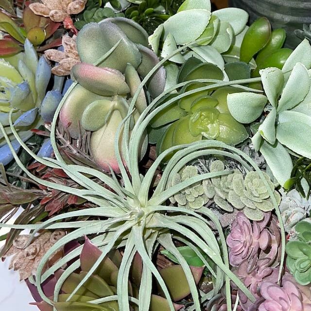 Succulent Wreath with Burgundy and Blue-Green Accents – Perfect for Front Door, Tabletop, or Office Décor Everyday Decorations Year Round