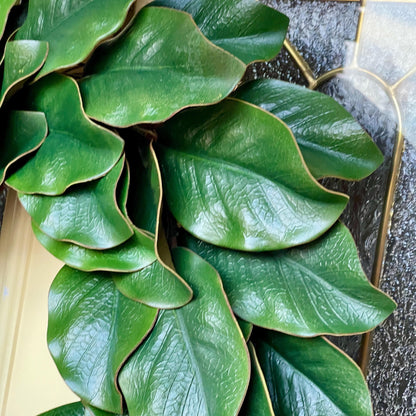 Realistic Magnolia Wreath for front door. Artificial Magnolia Wreath, Year Round Decor for home, All Season door Decor. Housewarming gift